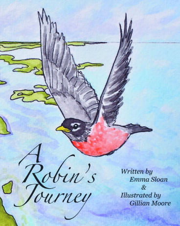 Cover of A Robin's Journey