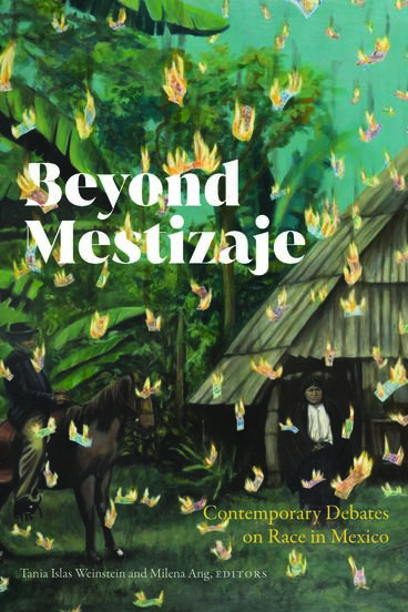 Cover of Beyond Mestizaje - Contemporary Debates on Race in Mexico
