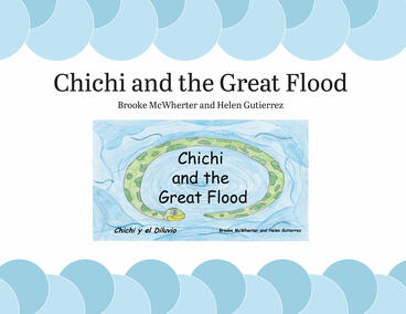 Cover of Chichi and the Great Flood
