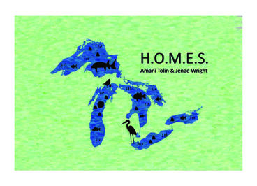 Cover of H.O.M.E.S.